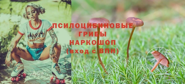 дживик Алексин