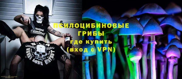 МДПВ Алзамай