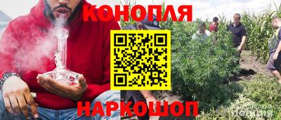 мескалин Кингисепп