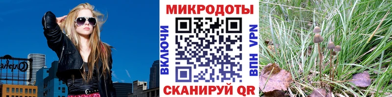 Галлюциногенные грибы Psilocybine cubensis  Арзамас 
