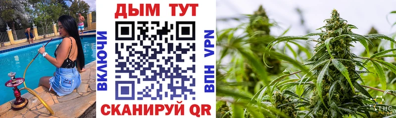 hydra tor  Арзамас  Бошки марихуана THC 21% 
